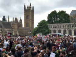 thumb parliamentsq